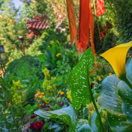 Hotel Ling Bao, Phantasialand Erlebnishotel 4*