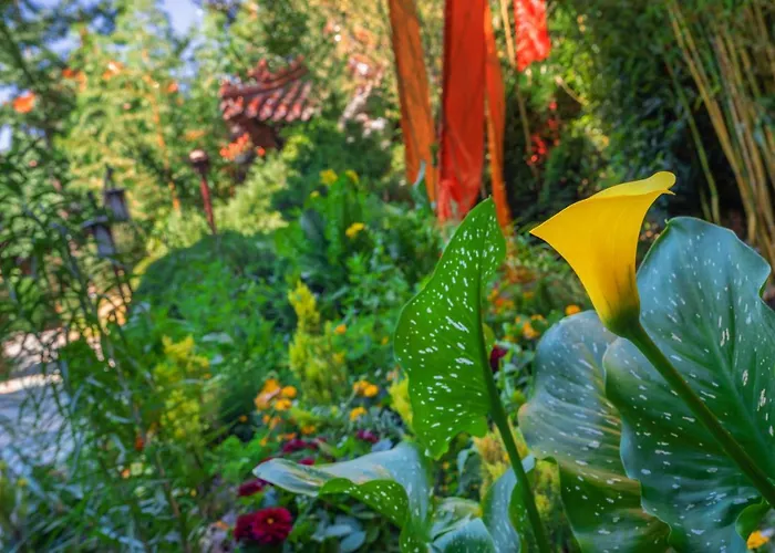 Hotel Ling Bao, Phantasialand Erlebnishotel 4*